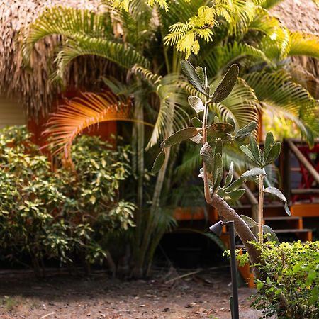 Mondi Lodge Sint Michiel ภายนอก รูปภาพ