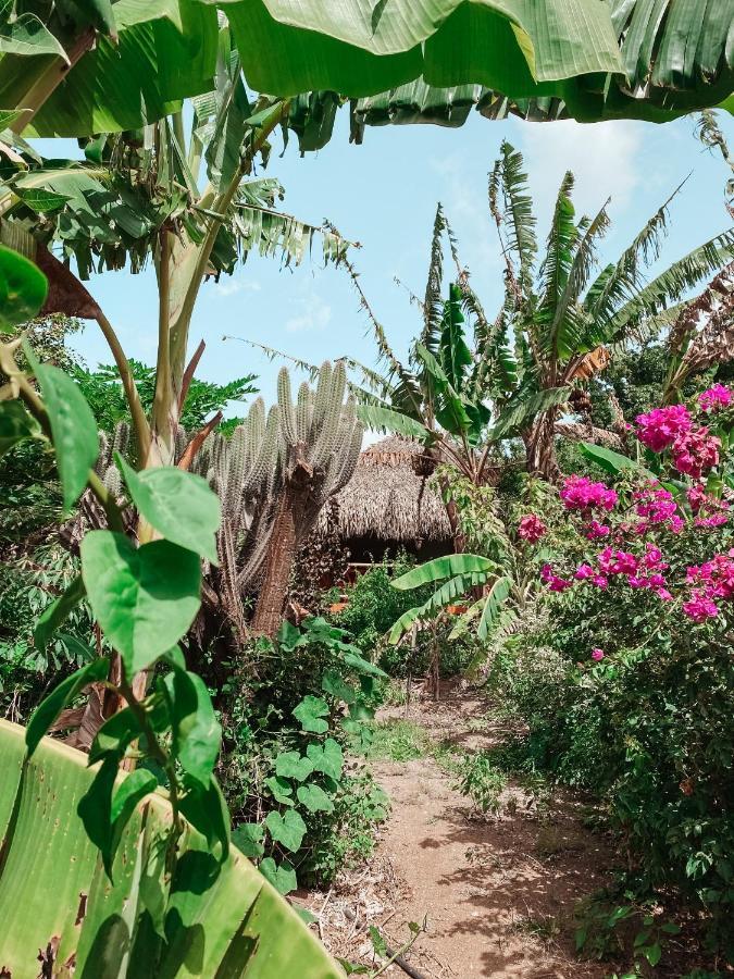 Mondi Lodge Sint Michiel ภายนอก รูปภาพ