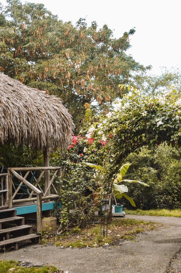 Mondi Lodge Sint Michiel ภายนอก รูปภาพ
