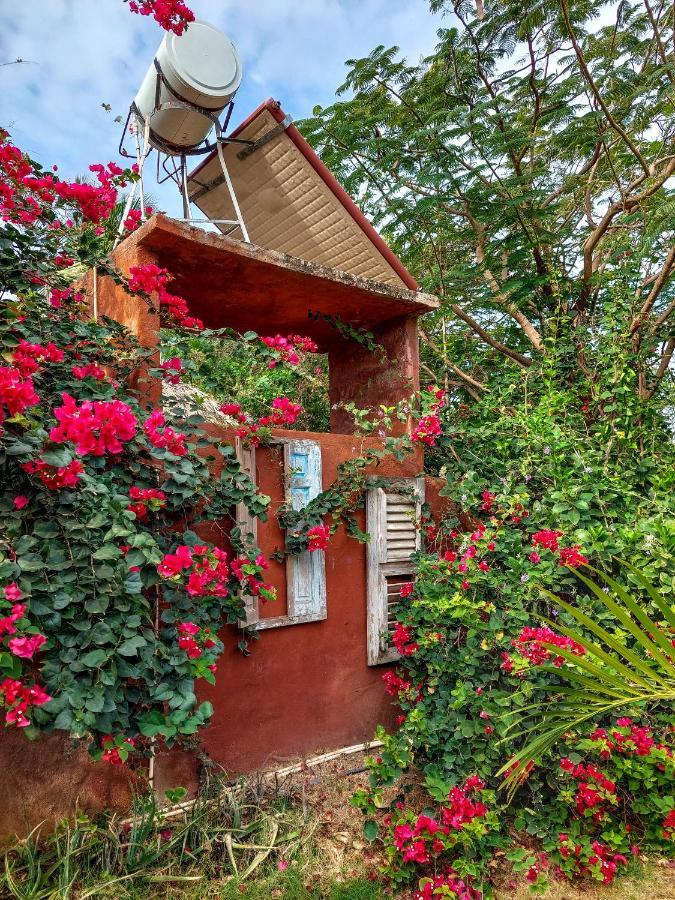 Mondi Lodge Sint Michiel ภายนอก รูปภาพ