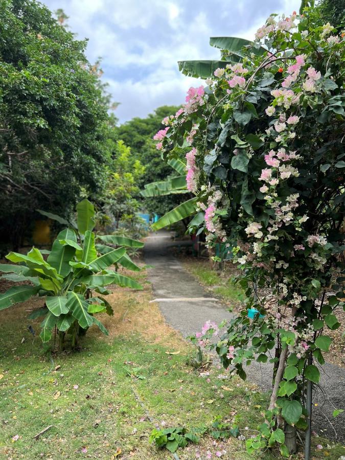 Mondi Lodge Sint Michiel ภายนอก รูปภาพ