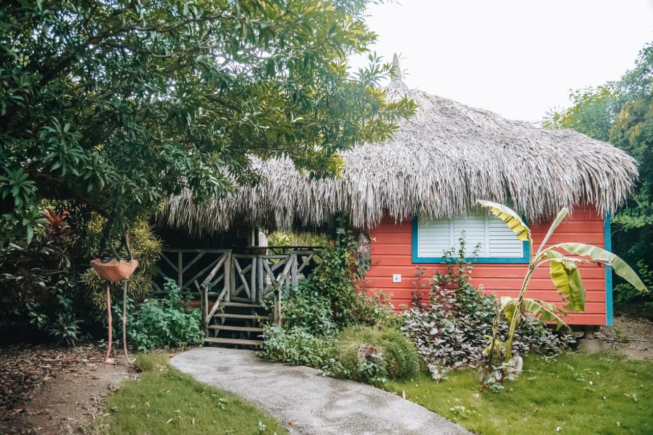 Mondi Lodge Sint Michiel ภายนอก รูปภาพ