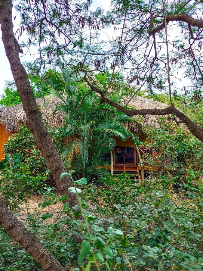 Mondi Lodge Sint Michiel ภายนอก รูปภาพ