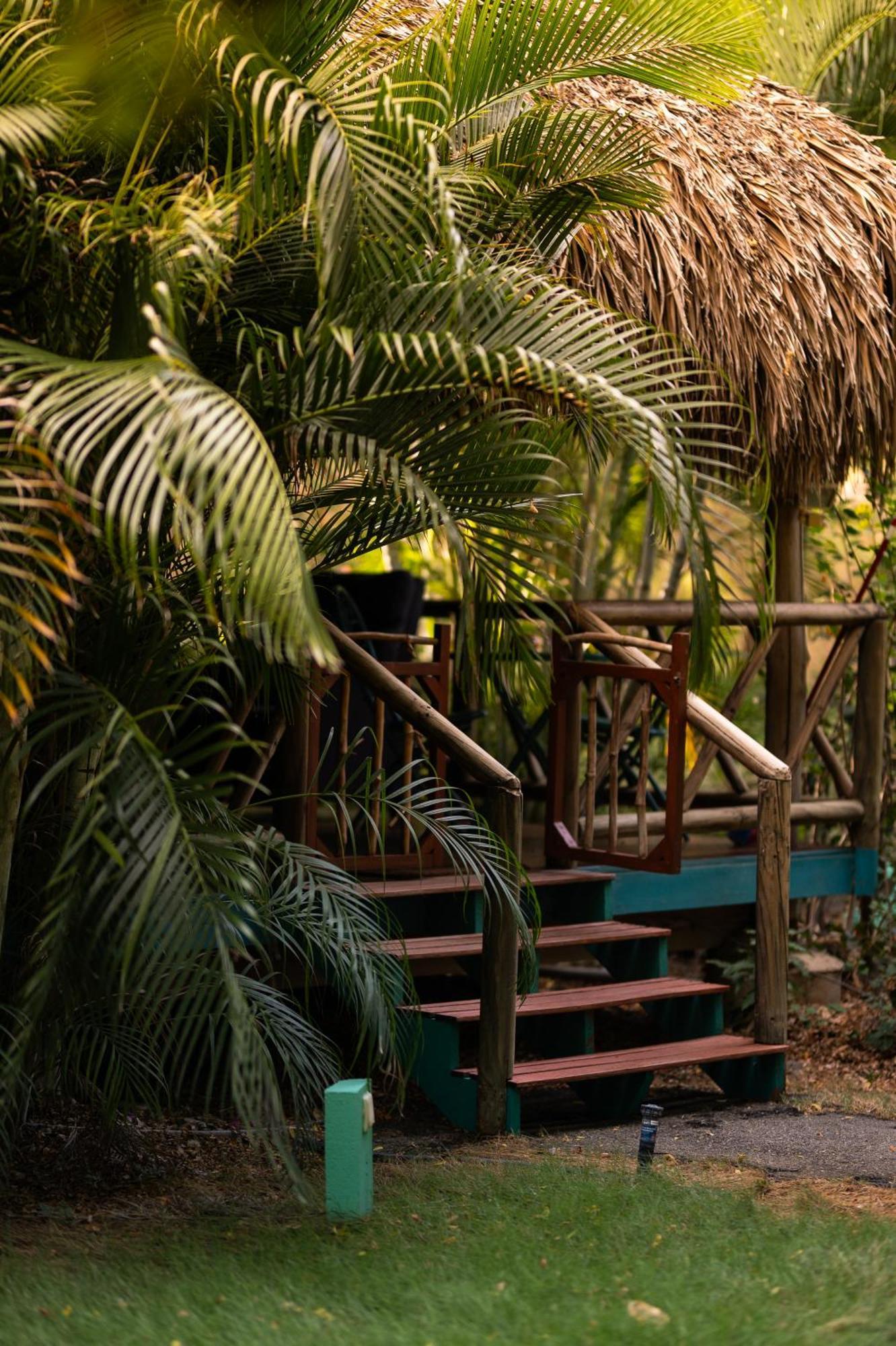 Mondi Lodge Sint Michiel ภายนอก รูปภาพ