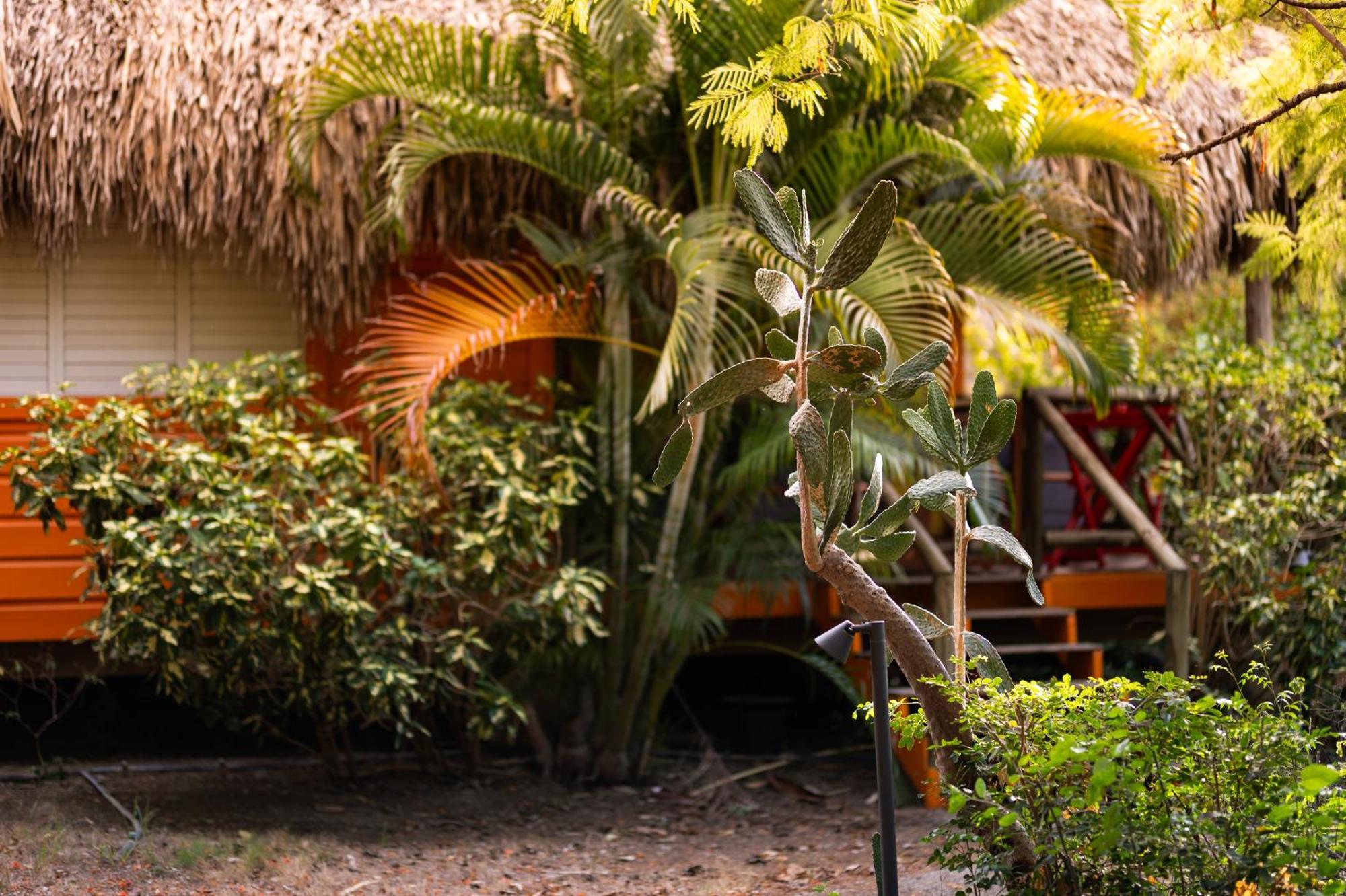 Mondi Lodge Sint Michiel ภายนอก รูปภาพ