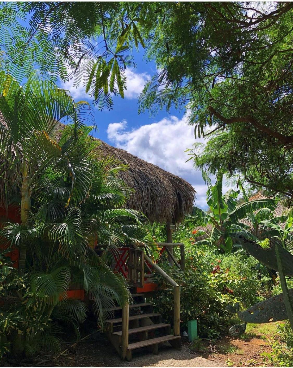 Mondi Lodge Sint Michiel ภายนอก รูปภาพ
