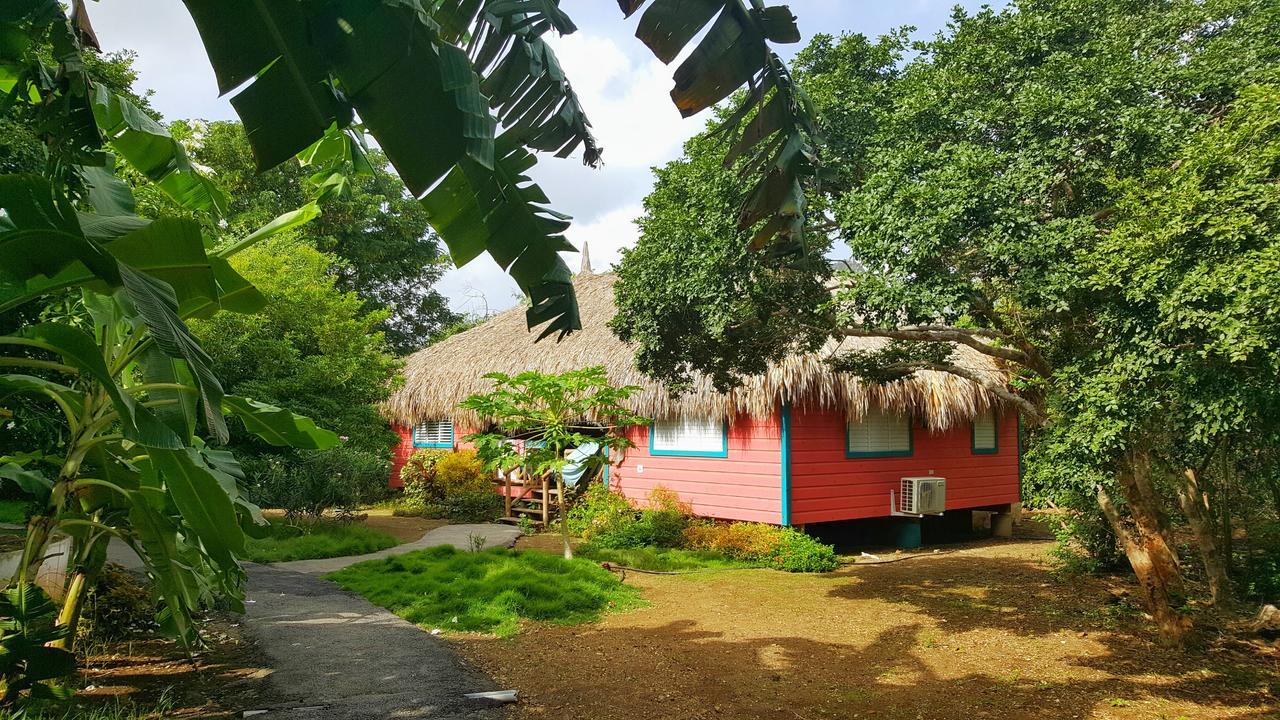Mondi Lodge Sint Michiel ภายนอก รูปภาพ