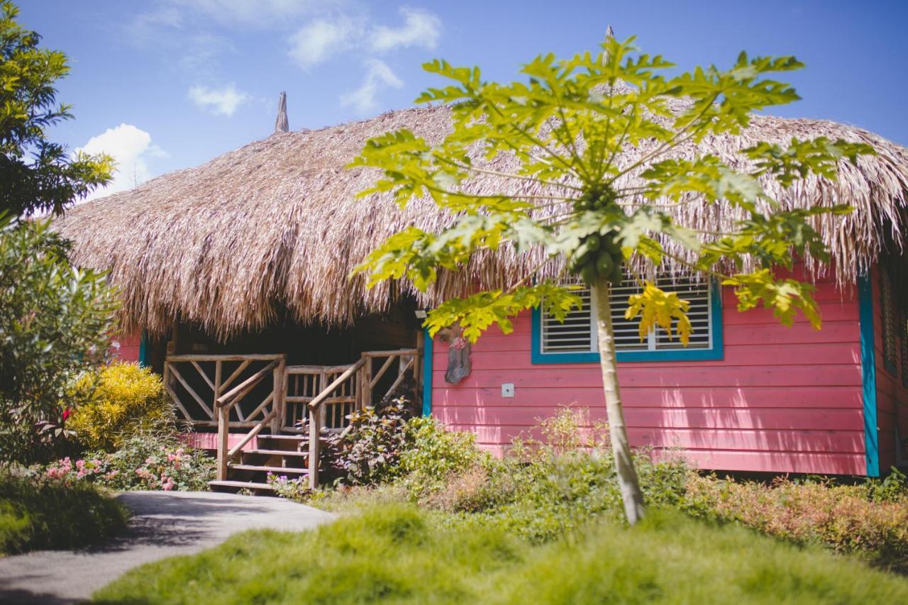 Mondi Lodge Sint Michiel ภายนอก รูปภาพ