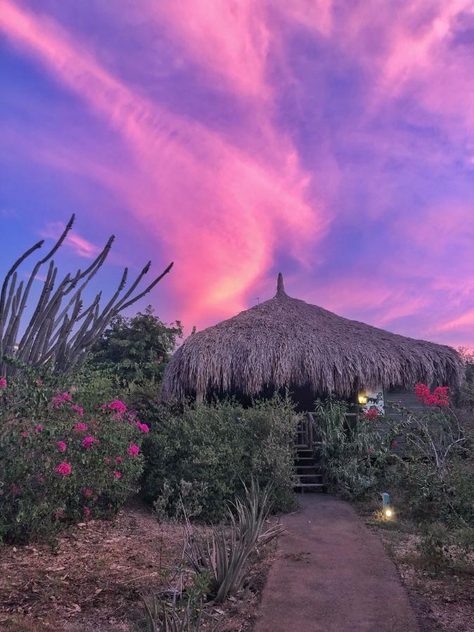 Mondi Lodge Sint Michiel ภายนอก รูปภาพ