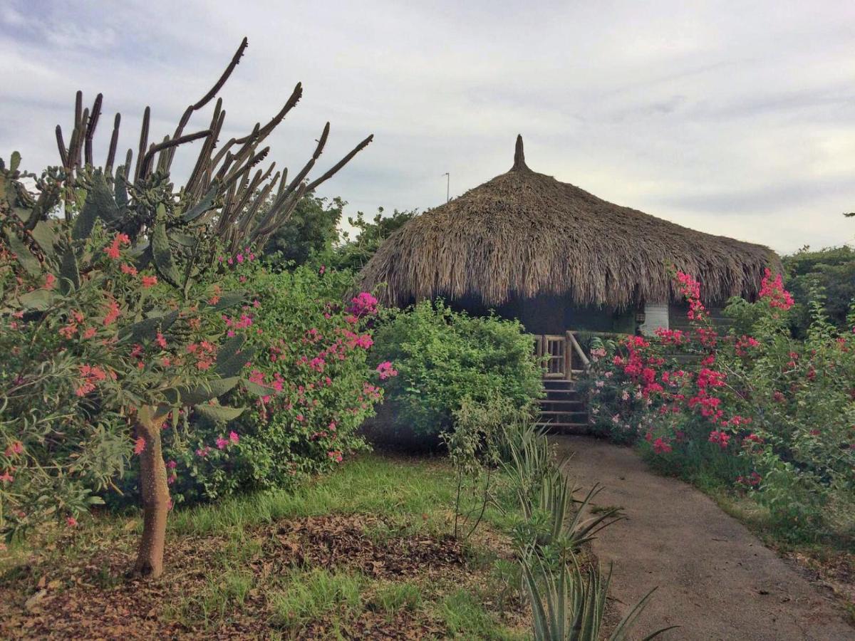 Mondi Lodge Sint Michiel ภายนอก รูปภาพ